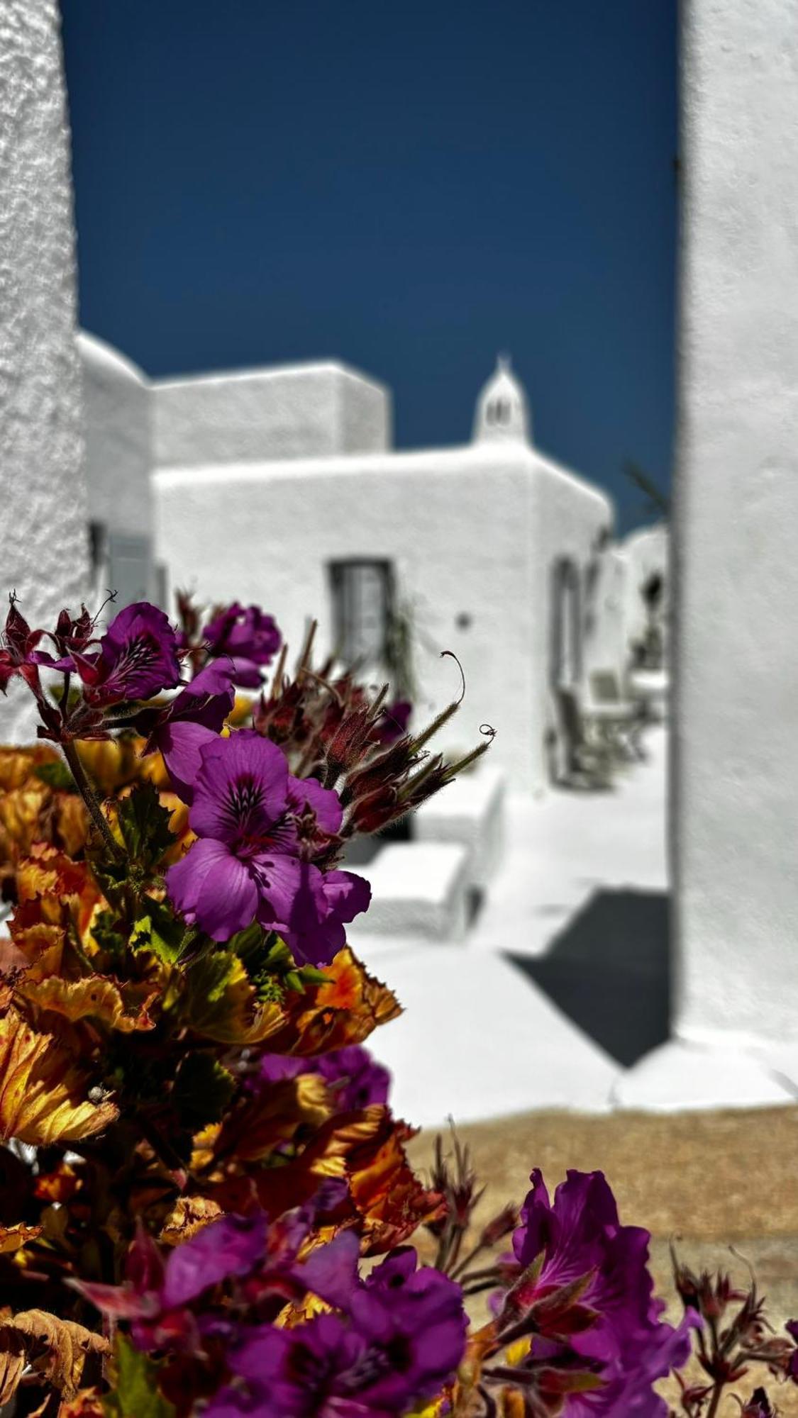 Vougli View Mykonos Hotel Drafaki Bagian luar foto