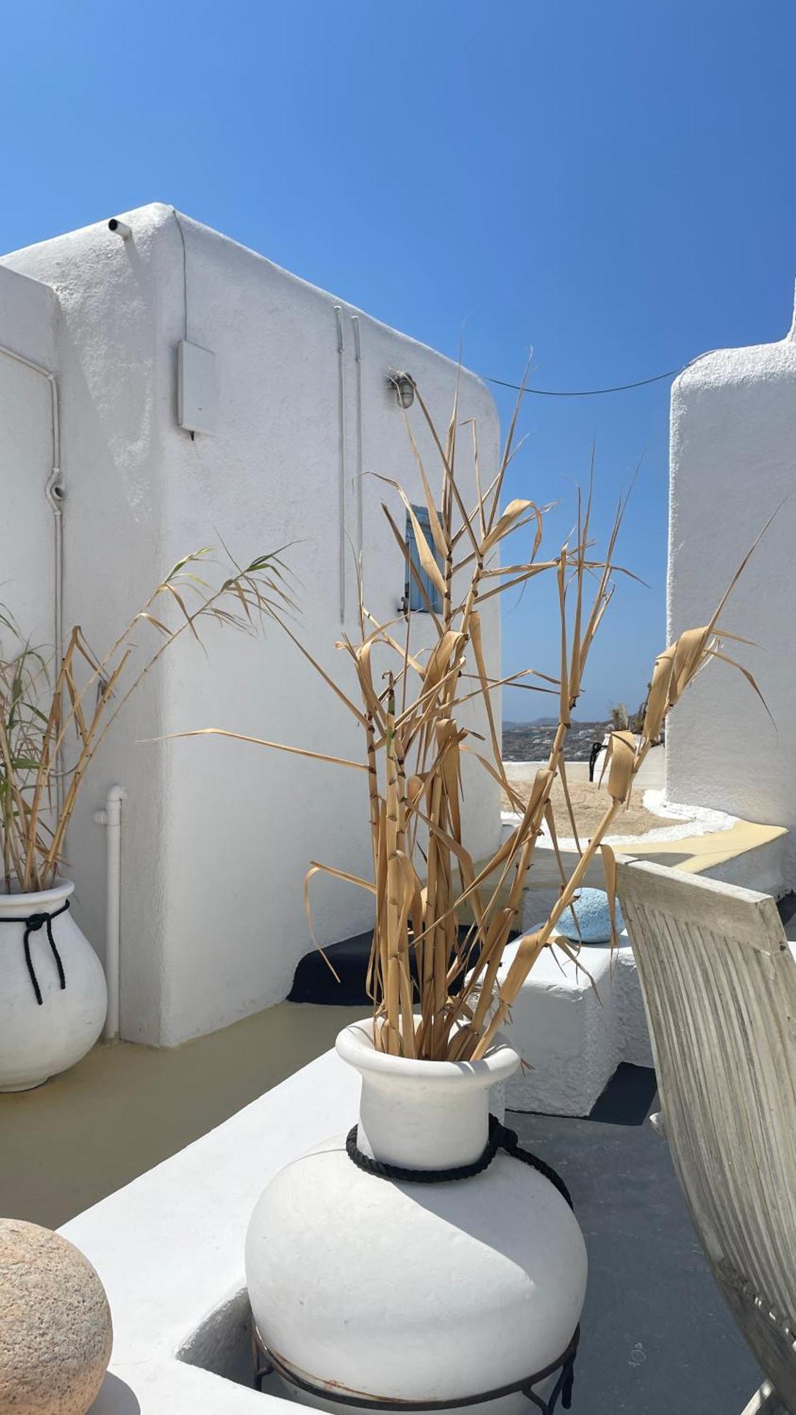 Vougli View Mykonos Hotel Drafaki Bagian luar foto